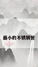 最小的不锈钢管