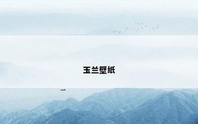 玉兰壁纸