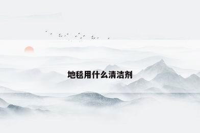 地毯用什么清洁剂
