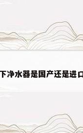 松下净水器是国产还是进口的