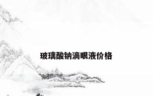 玻璃酸钠滴眼液价格