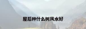 屋后种什么树风水好