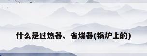什么是过热器、省煤器(锅炉上的)