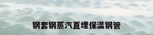 钢套钢蒸汽直埋保温钢管