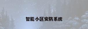 智能小区安防系统