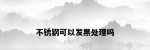 不锈钢可以发黑处理吗