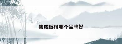 集成板材哪个品牌好