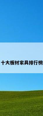 十大板材家具排行榜