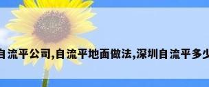 深圳环氧自流平公司,自流平地面做法,深圳自流平多少钱一平米