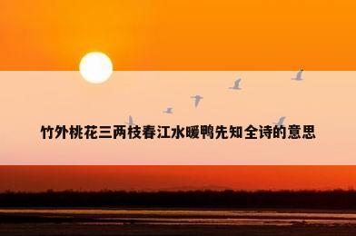 竹外桃花三两枝春江水暖鸭先知全诗的意思