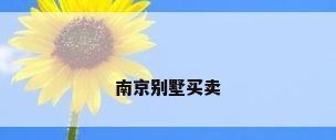 南京别墅买卖