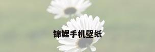 锦鲤手机壁纸