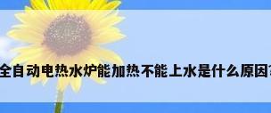 全自动电热水炉能加热不能上水是什么原因?
