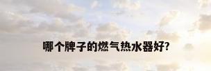 哪个牌子的燃气热水器好?