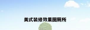 美式装修效果图厕所