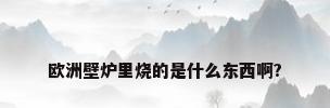 欧洲壁炉里烧的是什么东西啊?