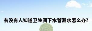 有没有人知道卫生间下水管漏水怎么办?