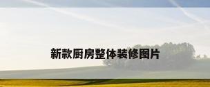 新款厨房整体装修图片