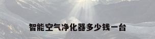 智能空气净化器多少钱一台