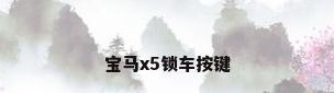 宝马x5锁车按键