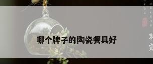 哪个牌子的陶瓷餐具好