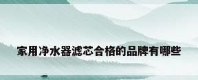 家用净水器滤芯合格的品牌有哪些