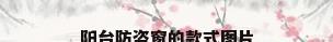 阳台防盗窗的款式图片