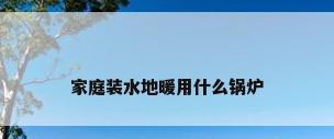 家庭装水地暖用什么锅炉
