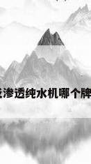 ro反渗透纯水机哪个牌子好