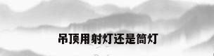 吊顶用射灯还是筒灯