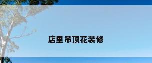 店里吊顶花装修