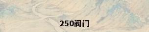 250阀门