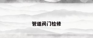 管道阀门检修
