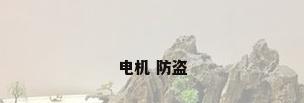 电机 防盗