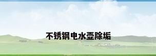 不锈钢电水壶除垢