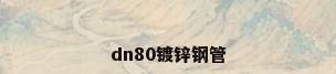 dn80镀锌钢管