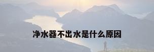 净水器不出水是什么原因
