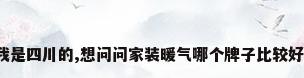 我是四川的,想问问家装暖气哪个牌子比较好?