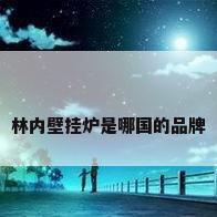 林内壁挂炉是哪国的品牌