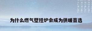 为什么燃气壁挂炉会成为供暖首选