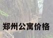 郑州公寓价格
