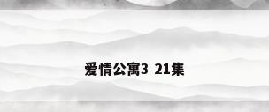 爱情公寓3 21集