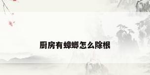 厨房有蟑螂怎么除根