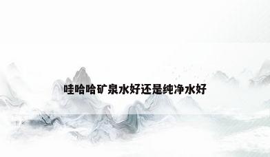 哇哈哈矿泉水好还是纯净水好