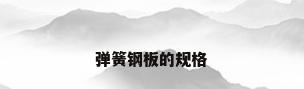 弹簧钢板的规格