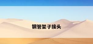钢管架子接头