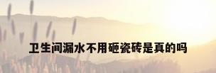 卫生间漏水不用砸瓷砖是真的吗