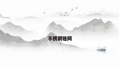 不锈钢链网