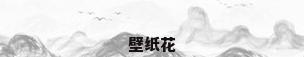 壁纸花