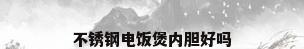 不锈钢电饭煲内胆好吗